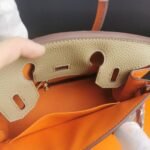 Hermes Birkin Mini Gold Hardware Epsom Multicolor 20Cm - Image 7