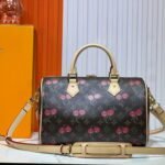 Louis Vuitton Speedy 30 Cherry Brown 30Cm - Image 4