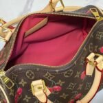 Louis Vuitton Speedy 30 Cherry Brown 30Cm - Image 7