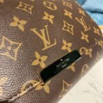 Louis Vuitton Favorite PM Monogram Canvas For Women 24Cm LV M40717 - Image 14