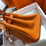 Hermes Birkin 25 Bag Togo Orange 25Cm - Image 3