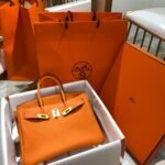 Hermes Birkin 25 Bag Togo Orange 25Cm - Image 2