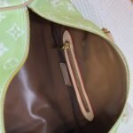 Louis Vuitton Speedy P9 Bandoulière 25 Mint 40Cm - Image 7