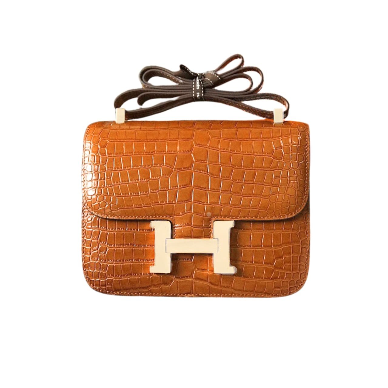 TBNB-5-1 Hermès Mini Constance 19 Shiny Alligator Palladium Hardware Gold 19Cm - Image 1